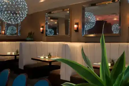 Pelican Grand Beach Resort, a Noble House Resort - 14
