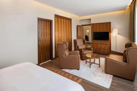 Radisson Blu, Dubai Canal View - 73