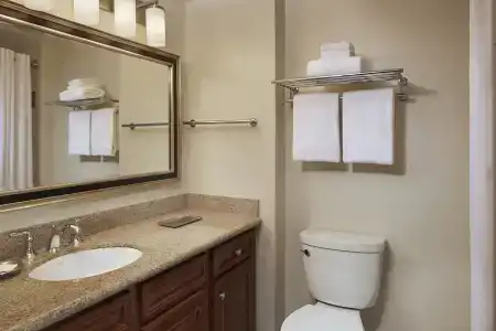 Hilton Grand Vacations Club SeaWorld Orlando - 77
