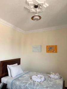 Giza Pyramids View Guest house - 38