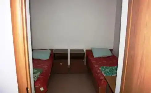 Лосёнок - 2