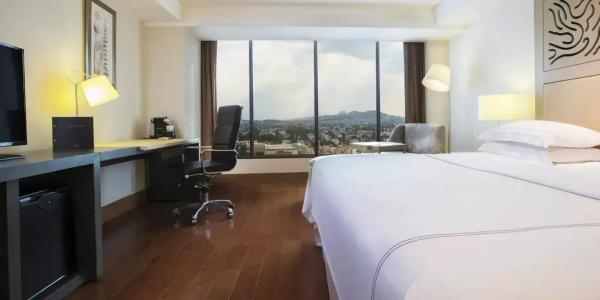 Hilton Guadalajara - 74