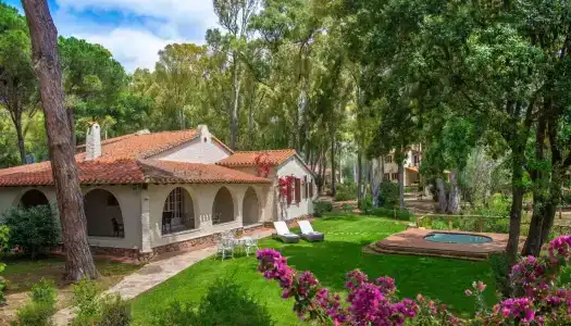 Is Morus Relais - 23