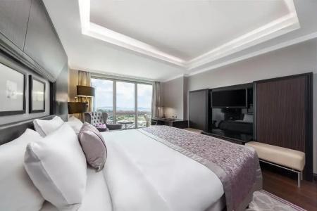 Dedeman Bostanci Istanbul & Convention Center - 61