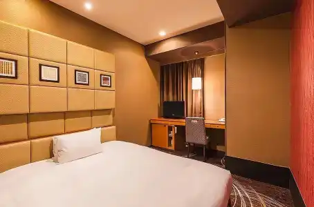 Sotetsu Fresa Inn Higashi Shinjuku - 32