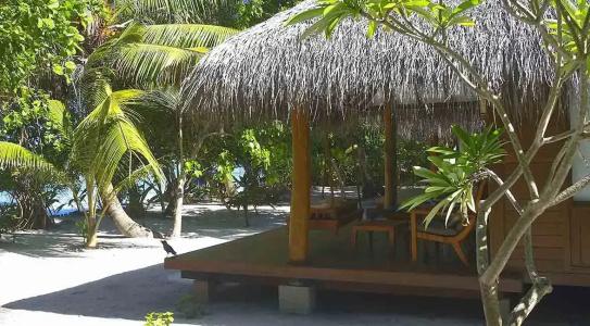 Medhufushi Island Resort - 41