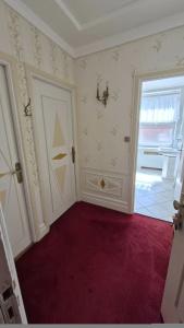 Meurice - 37