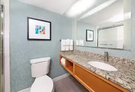 DoubleTree by Hilton Virginia Beach - 53