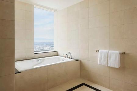 Nagoya Marriott Associa - 63