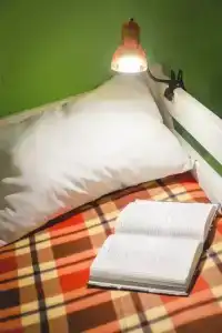 Iq - 5
