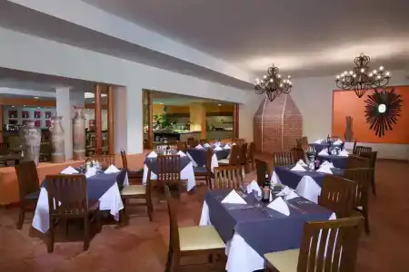 Oasis Palm - 13