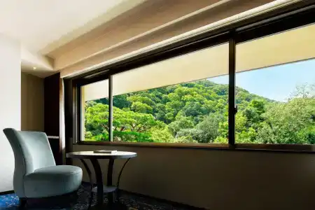 Suiran, a Luxury Collection, Kyoto - 32
