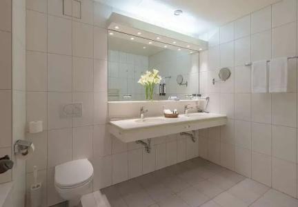 Sunstar & SPA Grindelwald - 86