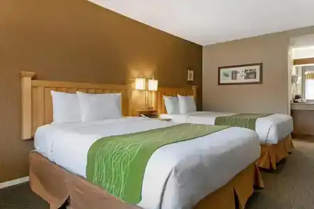 Econo Inn & Suites - - 33