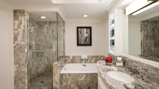 The Ritz-Carlton New York, Central Park - 69