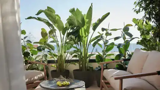 Helea Family Beach Resort - 62