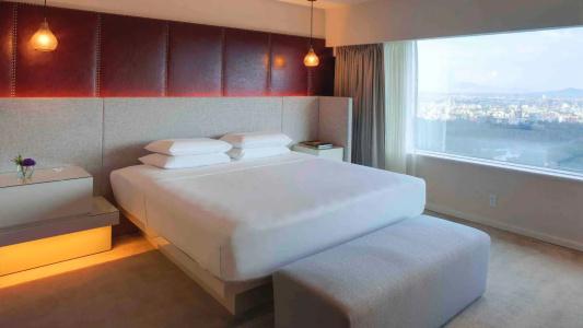 Hyatt Regency Mexico City - 62