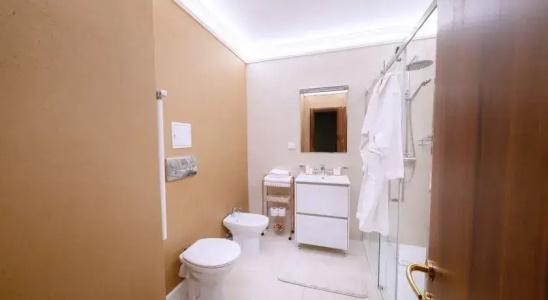 Phoenicia Comfort - 49