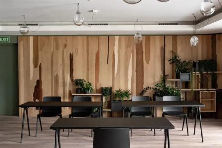 The Cambrian - 19