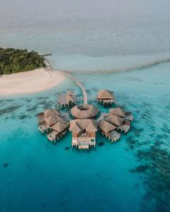 Coco Bodu Hithi - 22