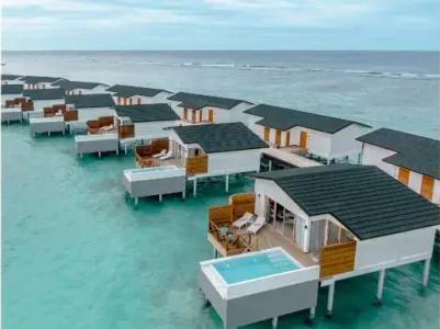 Joy Island - 43