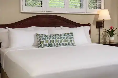 Bahia Resort - 56