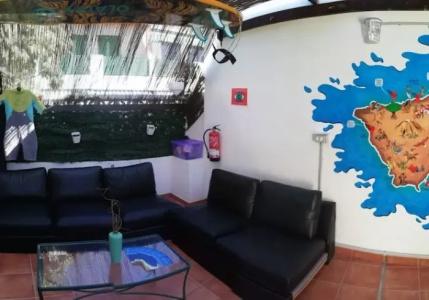 Arena Nest - 41