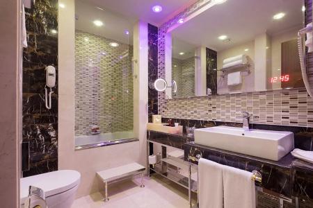 Grand Millenium - 51