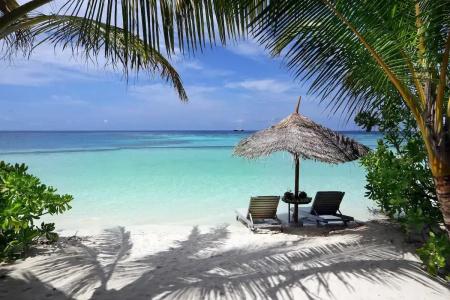 Gangehi Island Resort & Spa - 22