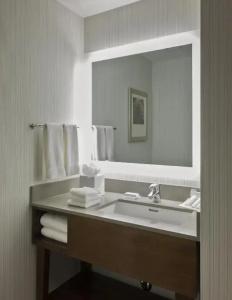 Hilton Garden Inn Long Island City - 55