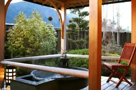 Japanese Ryokan Seryo - 32