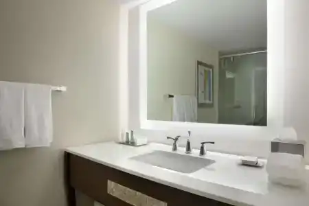 Hilton Miami Airport Blue Lagoon - 38
