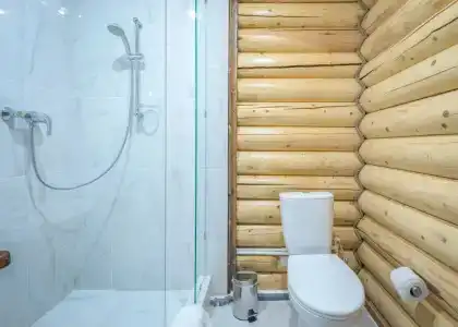 Лев - 5