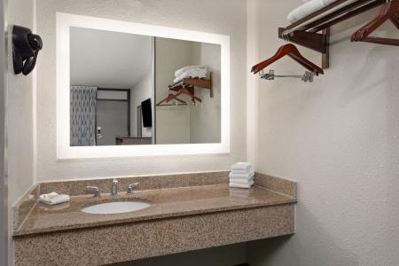 Days Inn by Wyndham Orlando Conv. Center/International Dr - 31
