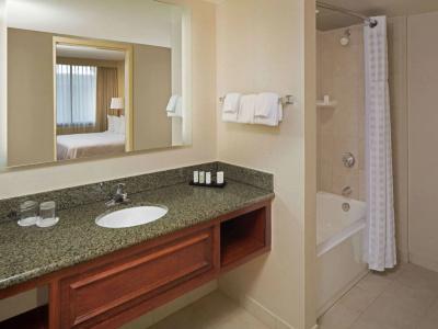 Embassy Suites - 37