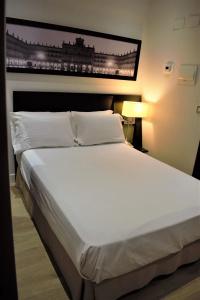 Sercotel Las Torres - 22