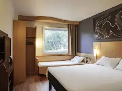 Ibis Cornella - 29