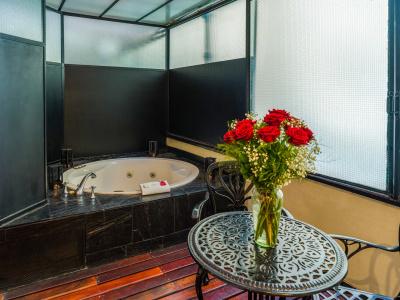 Melia Recoleta Plaza - 13