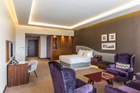 Radisson Blu, Dubai Waterfront - 57
