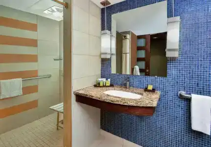 Hilton Palacio del Rio - 45