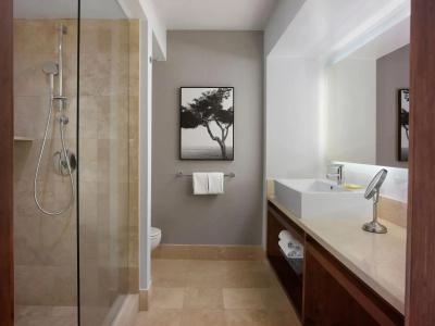 Hyatt Regency and Spa - 67