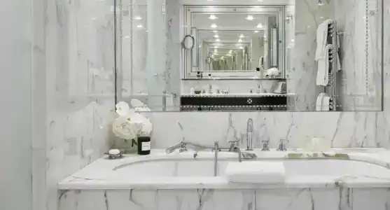 Hôtel Plaza Athénée - Dorchester Collection - 88