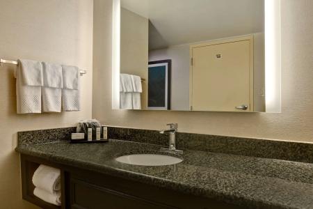 Embassy Suites - 42