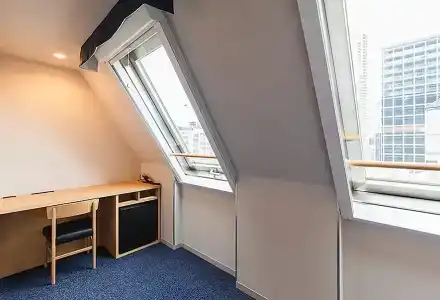 Sotetsu Fresa Inn Tokyo-Akasaka - 43