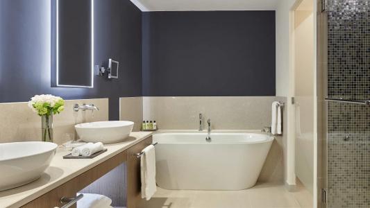 Intercontinental Lyon - Dieu, An Ihg - 42