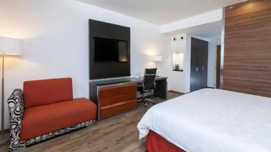 Holiday Inn Buenavista, An Ihg - 51