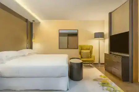 Sheraton Grand Tbilisi Metechi Palace - 72