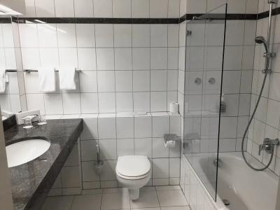 Schweizer Hof - 71