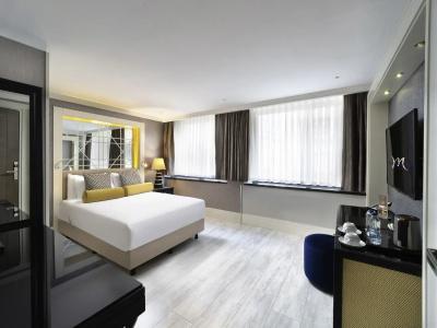 Mercure Istanbul Bomonti - 90