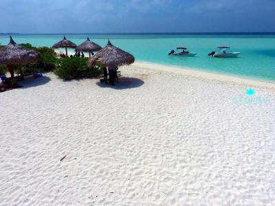 Acqua Blu Rasdhoo - 24